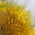 Img.VTax3125.Ex2.Img7