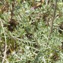Img.VTax3140.Ex3.Img9