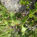Img.VTax3156.Ex1.Img5