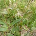 Img.VTax3156.Ex2.Img3