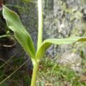 Img.VTax3156.Ex2.Img6