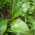 Img.VTax3156.Ex3.Img5