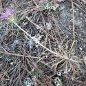 Img.VTax3195.Ex1.Img1