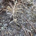 Img.VTax3195.Ex1.Img3