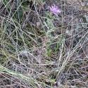 Img.VTax3195.Ex1.Img5