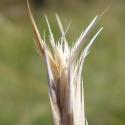 Img.VTax3200.Ex1.Img7