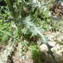 Img.VTax3206.Ex2.Img3