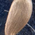 Img.VTax3210.Ex1.Img1
