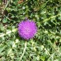 Img.VTax3226.Ex1.Img3