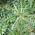 Img.VTax3226.Ex1.Img5