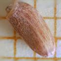 Img.VTax3228.Ex2.Img3