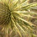 Img.VTax3235.Ex1.Img6