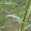 Img.VTax3309.Ex2.Img3