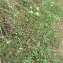 Img.VTax3309.Ex2.Img6