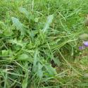 Img.VTax3318.Ex1.Img5