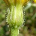 Img.VTax3318.Ex1.Img6