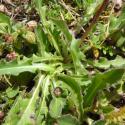 Img.VTax3318.Ex1.Img7