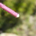 Img.VTax3346.Ex2.Img4