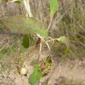 Img.VTax3346.Ex2.Img6
