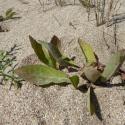 Img.VTax3346.Ex2.Img9