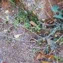 Img.VTax3361.Ex2.Img1
