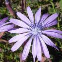 Img.VTax3365.Ex1.Img5
