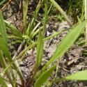 Img.VTax3469.Ex1.Img3