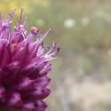 Img.VTax3571.Ex1.Img1