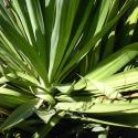 Img.VTax3602.Ex2.Img3