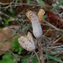 Img.VTax3616.Ex2.Img1