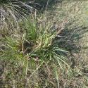 Img.VTax3621.Ex2.Img5