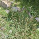Img.VTax3666.Ex1.Img1