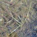 Img.VTax3715.Ex1.Img2