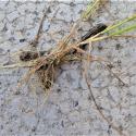 Img.VTax3889.Ex1.Img5