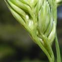 Img.VTax3923.Ex1.Img5