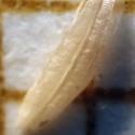 Img.VTax4038.Ex4.Img1