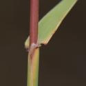 Img.VTax4093.Ex1.Img3