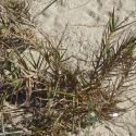 Img.VTax4157.Ex1.Img1