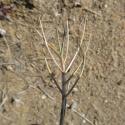 Img.VTax4157.Ex2.Img1
