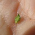 Img.VTax4177.Ex4.Img7