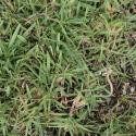 Img.VTax4186.Ex1.Img1