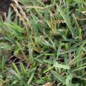 Img.VTax4186.Ex2.Img1
