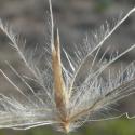 Img.VTax4194.Ex1.Img3