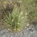 Img.VTax4194.Ex2.Img1