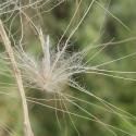 Img.VTax4194.Ex2.Img3