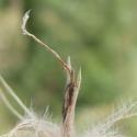 Img.VTax4194.Ex2.Img4