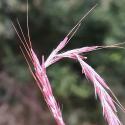 Img.VTax4203.Ex1.Img1