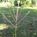 Img.VTax4203.Ex2.Img3