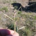 Img.VTax4205.Ex1.Img1