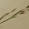 Img.VTax4205.Ex3.Img1